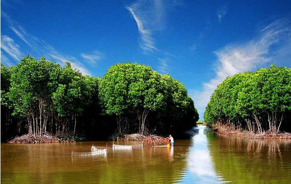 Ca-Mau-cape-national-park-mekong-delta-vietnam-3